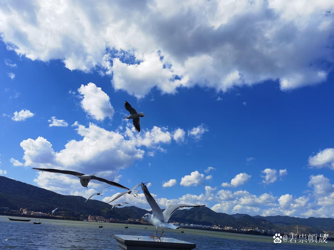 在碧绿的海面上,一艘白色的游艇在碧波荡漾的海面上航行.阳光照耀在游